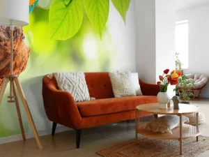 Online Papegaai in de zon fotobehang Dieren