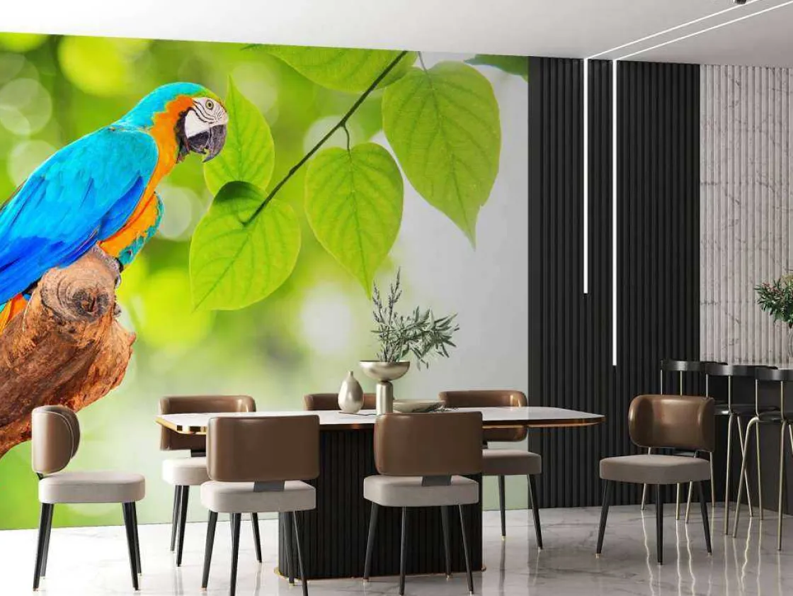 papegaai_in_de_zon_fotobe_3.webp Online Papegaai in de zon fotobehang Dieren