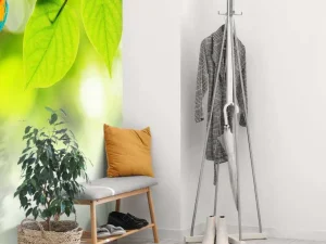 Online Papegaai in de zon fotobehang Dieren