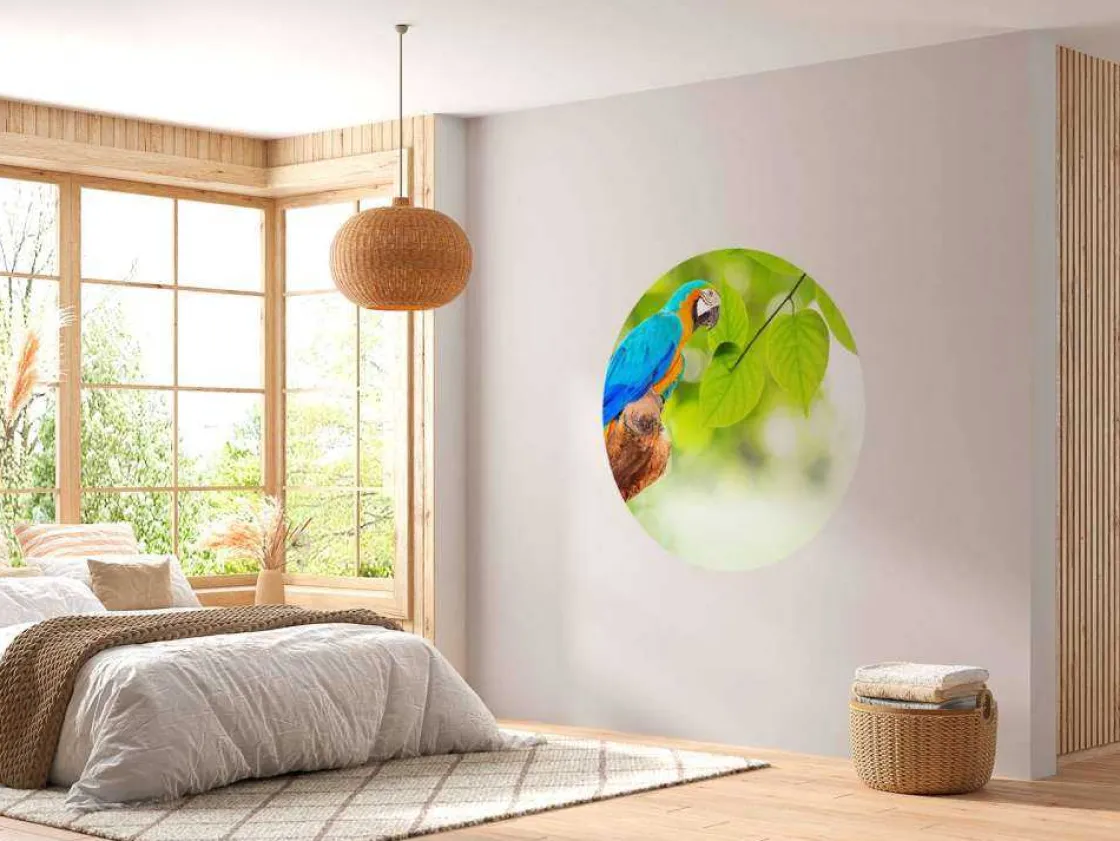 papegaai_in_de_zon_fotobe_6.webp Online Papegaai in de zon fotobehang Dieren