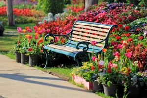 Online Park met kleurrijke tulpen fotobehang Architectuur