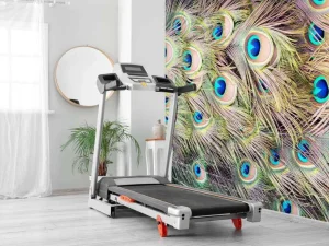 Sale Pauw veren met ogen fotobehang Dieren
