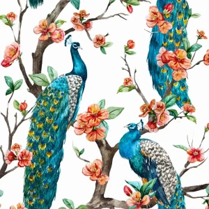 Sale Pauwen print fotobehang Dieren