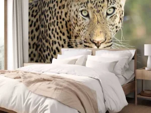 Discount Portret Luipaard in Zuid-Afrika fotobehang Dieren