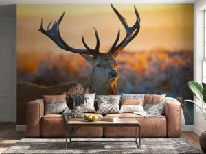 Discount Portret van een Hert (Edelhert) fotobehang Dieren