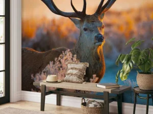 Discount Portret van een Hert (Edelhert) fotobehang Dieren