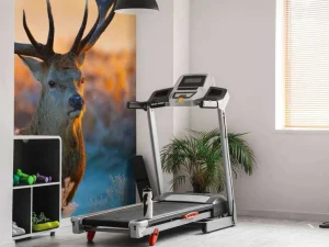 Discount Portret van een Hert (Edelhert) fotobehang Dieren