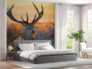 Discount Portret van een Hert (Edelhert) fotobehang Dieren