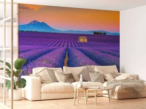 New Prachtig bloemenveld van lavendel fotobehang Bloemen