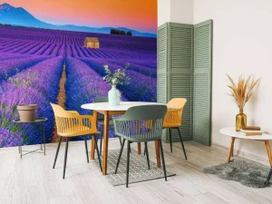 New Prachtig bloemenveld van lavendel fotobehang Bloemen