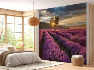 Fashion Prachtig landschap met lavendel veld bij zonsopkomst fotobehang Bloemen