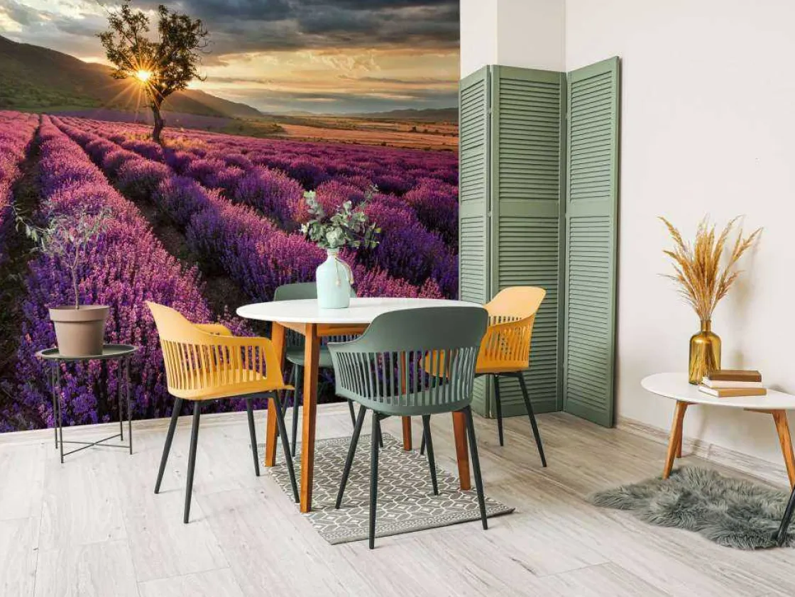 prachtig_landschap_met_la_3.webp Fashion Prachtig landschap met lavendel veld bij zonsopkomst fotobehang Bloemen
