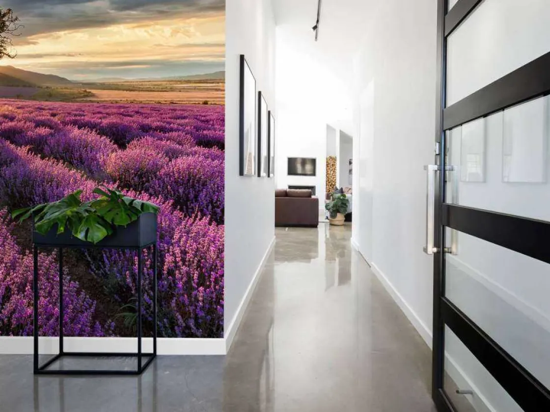 prachtig_landschap_met_la_4.webp Fashion Prachtig landschap met lavendel veld bij zonsopkomst fotobehang Bloemen