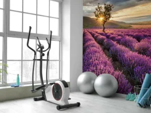 Fashion Prachtig landschap met lavendel veld bij zonsopkomst fotobehang Bloemen