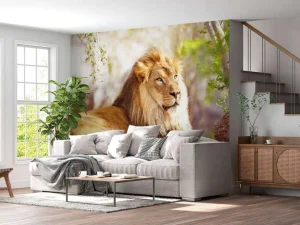 Online Prachtige Afrikaanse leeuw in de zon fotobehang Tienerkamer | Hobbykamer