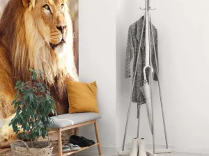 Online Prachtige Afrikaanse leeuw in de zon fotobehang Tienerkamer | Hobbykamer