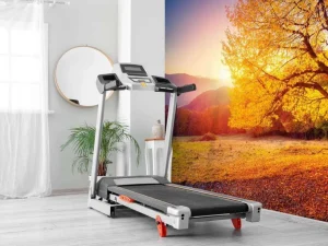 Discount Prachtige beukenboom in de herfst fotobehang Bloemen