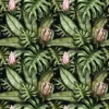 Best Protea bloemen Bloemen