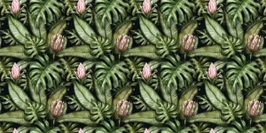 Best Protea bloemen Bloemen