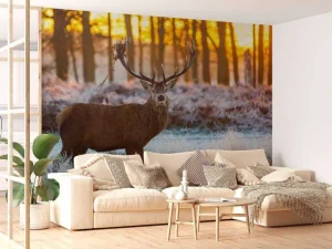 Outlet Rendier bij zonsopkomst fotobehang Dieren