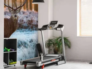 Outlet Rendier bij zonsopkomst fotobehang Dieren