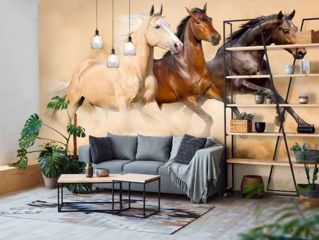 rennende_paarden_in_de_wo_10.webp Online Rennende paarden in de woestijn fotobehang Tienerkamer | Kinderkamer