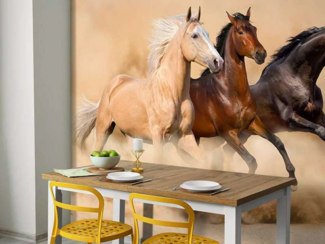 rennende_paarden_in_de_wo_3.webp Online Rennende paarden in de woestijn fotobehang Tienerkamer | Kinderkamer