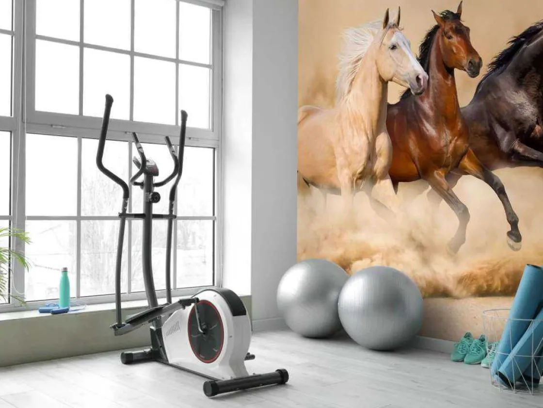 rennende_paarden_in_de_wo_7.webp Online Rennende paarden in de woestijn fotobehang Tienerkamer | Kinderkamer