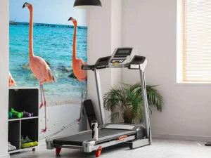 Best Rij van flamingo's op het strand fotobehang Tienerkamer | Dieren