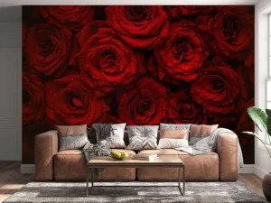 Fashion Rode rozen met druppels water erop fotobehang Slaapkamer | Bloemen