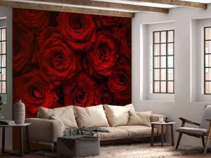 Fashion Rode rozen met druppels water erop fotobehang Slaapkamer | Bloemen