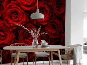 Fashion Rode rozen met druppels water erop fotobehang Slaapkamer | Bloemen