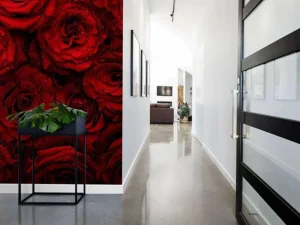 Fashion Rode rozen met druppels water erop fotobehang Slaapkamer | Bloemen