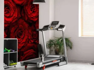 Fashion Rode rozen met druppels water erop fotobehang Slaapkamer | Bloemen