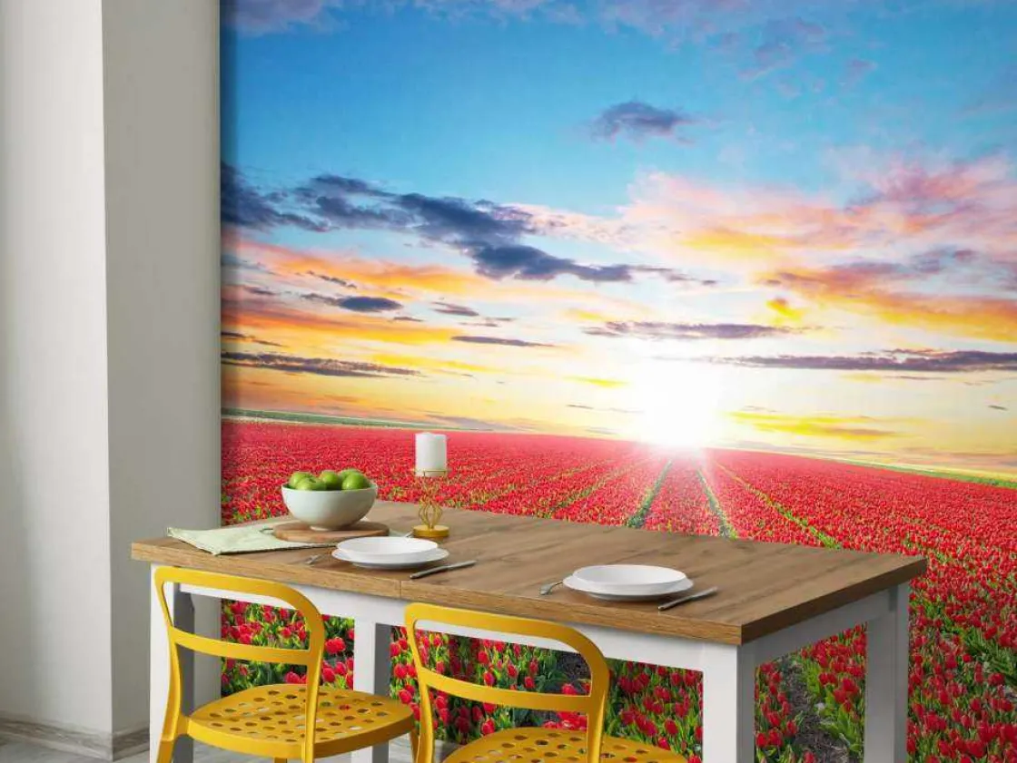 rode_tulpenveld_bij_zonso_3.webp Best Rode tulpenveld bij zonsopkomst fotobehang Steden | Architectuur
