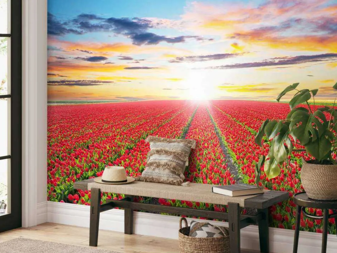 rode_tulpenveld_bij_zonso_4.webp Best Rode tulpenveld bij zonsopkomst fotobehang Steden | Architectuur