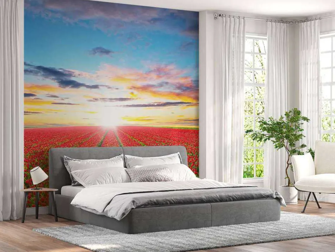 rode_tulpenveld_bij_zonso_9.webp Best Rode tulpenveld bij zonsopkomst fotobehang Steden | Architectuur