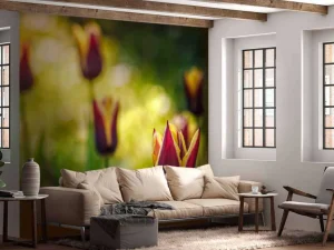 Outlet Rood-gele tulpen close-up fotobehang Bloemen