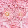 Clearance Roze bloemen met een gele kern fotobehang Tienerkamer | Bloemen