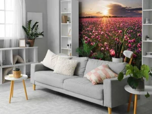 New Roze klaprozenveld bij zonsondergang fotobehang Bloemen