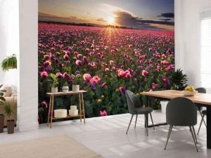 New Roze klaprozenveld bij zonsondergang fotobehang Bloemen