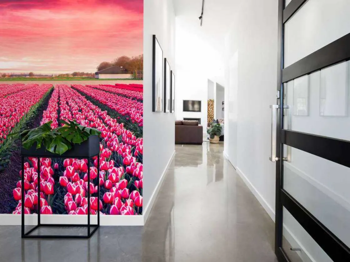 roze_tulpenveld_met_dynam_4.webp Discount Roze tulpenveld met dynamische kleuren fotobehang Steden | Architectuur