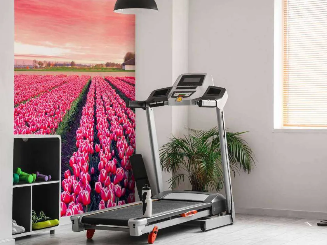 roze_tulpenveld_met_dynam_5.webp Discount Roze tulpenveld met dynamische kleuren fotobehang Steden | Architectuur