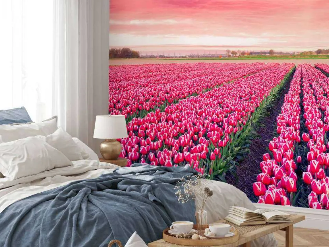 roze_tulpenveld_met_dynam_9.webp Discount Roze tulpenveld met dynamische kleuren fotobehang Steden | Architectuur