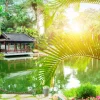 Fashion Rustgevend parkje in China fotobehang Bloemen | Architectuur