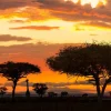 Hot Safari in Afrika bij zonsondergang fotobehang Dieren | Bloemen