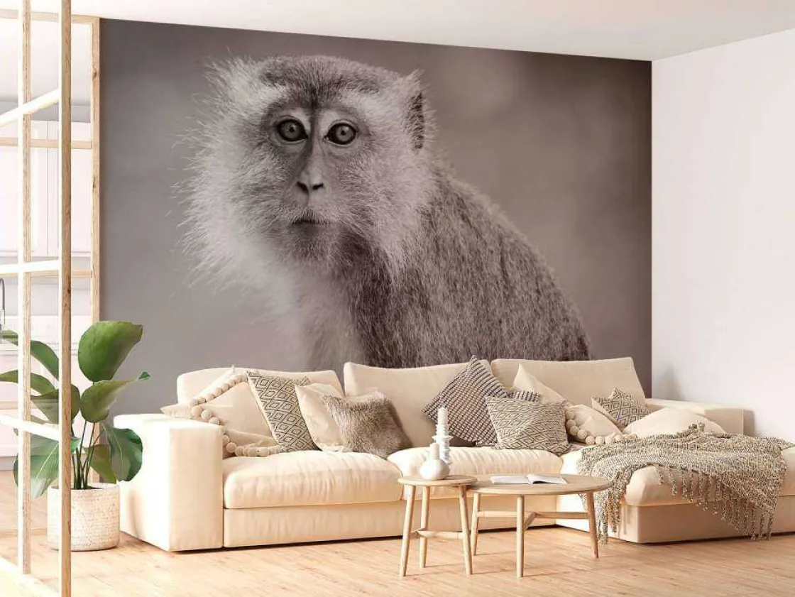 schattig_aapje_in_zwartwi_10.webp Outlet Schattig aapje in zwart-wit fotobehang Hobbykamer | Dieren
