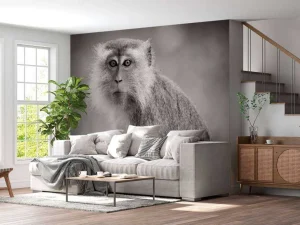 Outlet Schattig aapje in zwart-wit fotobehang Hobbykamer | Dieren