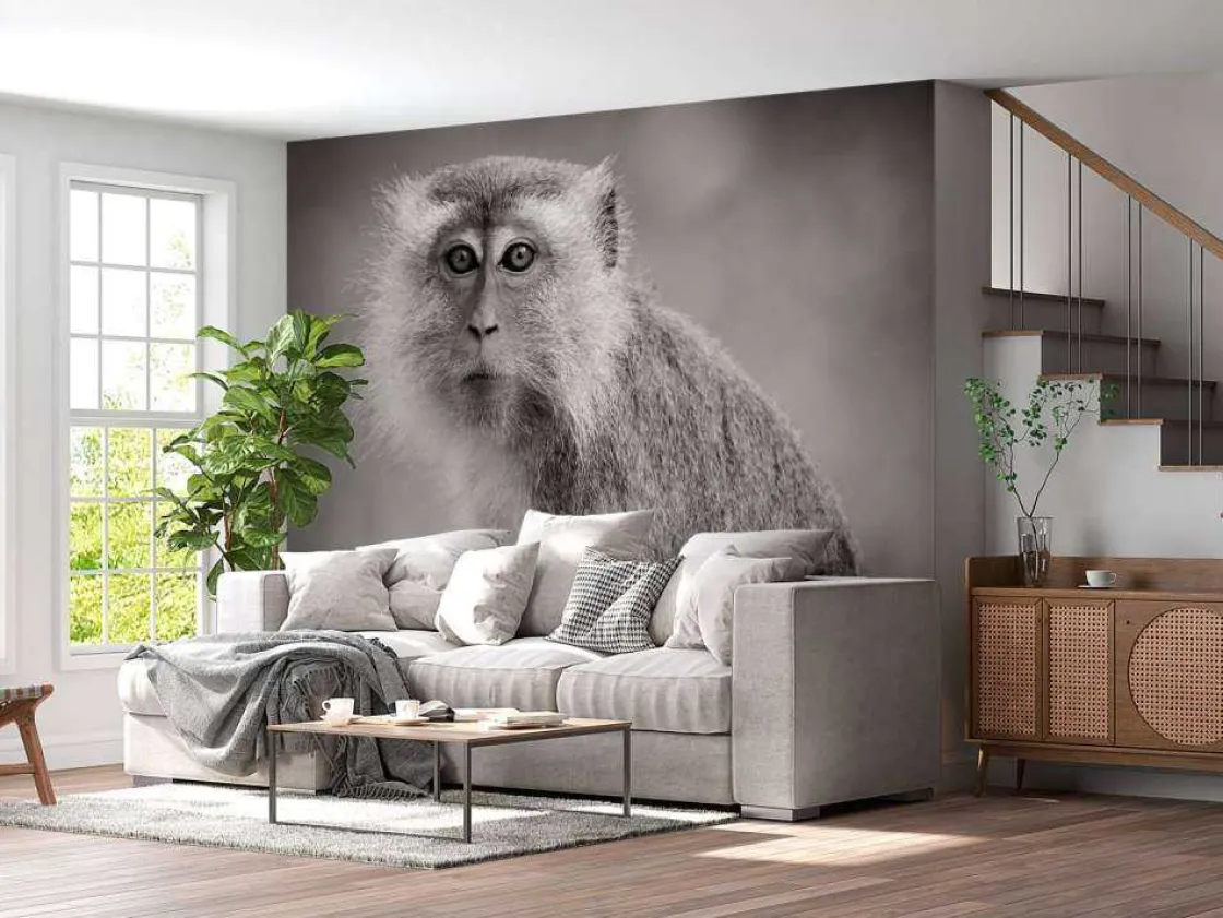 schattig_aapje_in_zwartwi_2.webp Outlet Schattig aapje in zwart-wit fotobehang Hobbykamer | Dieren