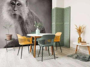 Outlet Schattig aapje in zwart-wit fotobehang Hobbykamer | Dieren